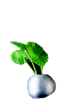 Untitled-2.png